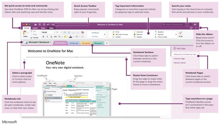 onenote 2016 for mac, table sum